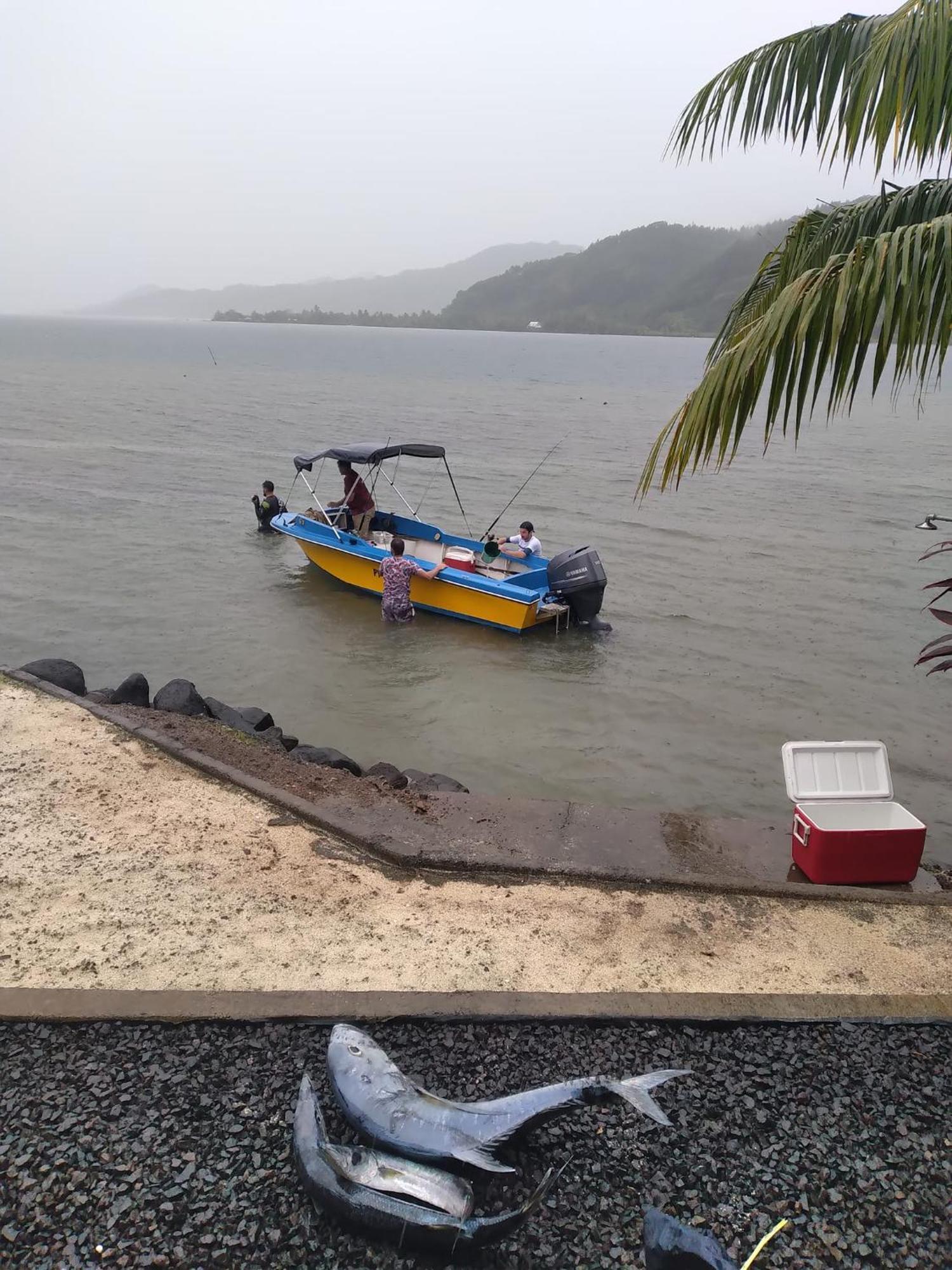 Villa De La Baie Raiatea Uturoa Esterno foto